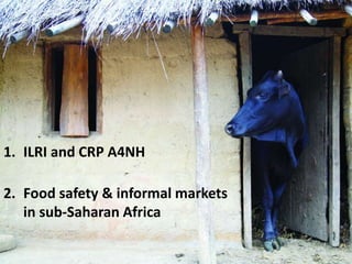 Food safety and informal markets: Animal products in sub-Saharan Africa