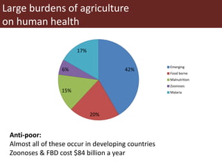 Food safety and informal markets: Animal products in sub-Saharan Africa