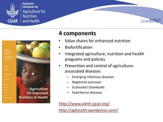 Food safety and informal markets: Animal products in sub-Saharan Africa