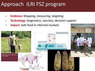 Food safety and informal markets: Animal products in sub-Saharan Africa