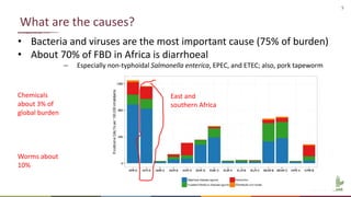 Global food safety: Situation and challenges