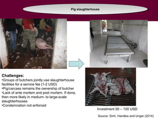 Food safety challenges in smallholder pig value chains in Vietnam: From an assessment to feasible interventions using an integrated approach