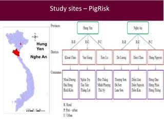 Food safety from a global perspective to a country perspective addressing challenges along smallholder pig systems in Vietnam