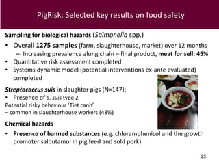 Food safety from a global perspective to a country perspective addressing challenges along smallholder pig systems in Vietnam