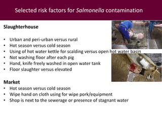 Food safety from a global perspective to a country perspective addressing challenges along smallholder pig systems in Vietnam