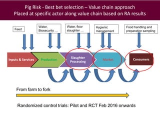 Food safety from a global perspective to a country perspective addressing challenges along smallholder pig systems in Vietnam