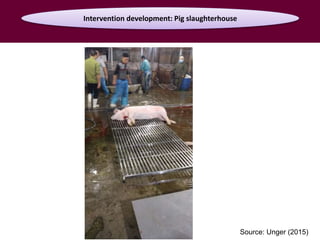 Food safety from a global perspective to a country perspective addressing challenges along smallholder pig systems in Vietnam