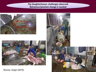 Food safety from a global perspective to a country perspective addressing challenges along smallholder pig systems in Vietnam