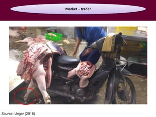 Food safety from a global perspective to a country perspective addressing challenges along smallholder pig systems in Vietnam