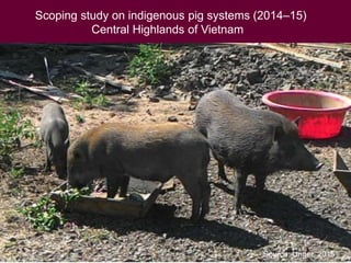 Food safety from a global perspective to a country perspective addressing challenges along smallholder pig systems in Vietnam