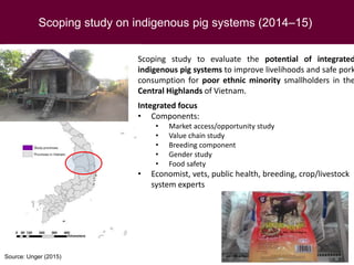 Food safety from a global perspective to a country perspective addressing challenges along smallholder pig systems in Vietnam