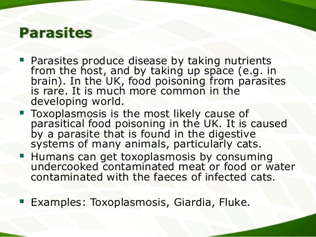 Food Poisoning Diarrhea How Long After Eating Food Poisoning Diarrhea How Long After Eating