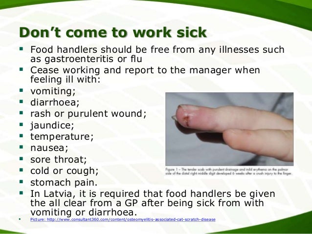 Personal Hygiene of the Kitchen Steward