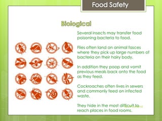 Several insects may transfer food
poisoning bacteria to food.
Flies often land on animal fasces
where they pick up large numbers of
bacteria on their hairy body.
In addition they poop and vomit
previous meals back onto the food
as they feed.
Cockroaches often lives in sewers
and commonly feed on infected
waste.
They hide in the most difficult to
reach places in food rooms.
By JP Lawand
 