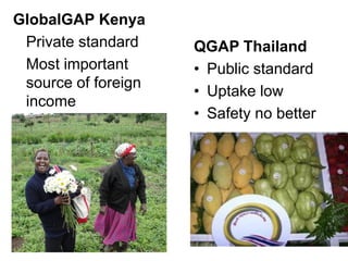 Why food safety matters for development: agri-food system perspective
