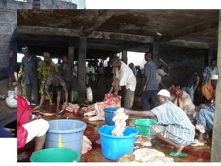 Why food safety matters for development: agri-food system perspective