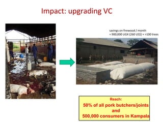 The future of food safety in Africa: Research perspective