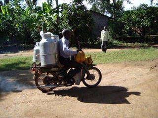 Milk, meat and fish—More than just food: Current research on food safety in sub-Saharan Africa