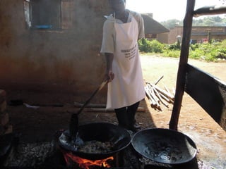 Milk, meat and fish—More than just food: Current research on food safety in sub-Saharan Africa