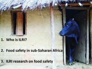 Milk, meat and fish—More than just food: Current research on food safety in sub-Saharan Africa