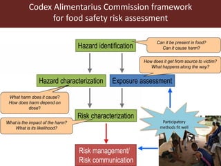 Milk, meat and fish—More than just food: Current research on food safety in sub-Saharan Africa
