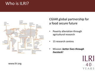 Milk, meat and fish—More than just food: Current research on food safety in sub-Saharan Africa