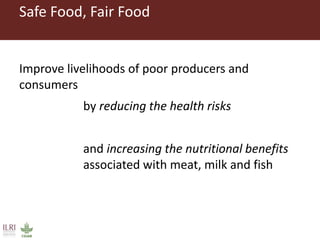 Milk, meat and fish—More than just food: Current research on food safety in sub-Saharan Africa