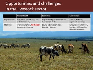 Milk, meat and fish—More than just food: Current research on food safety in sub-Saharan Africa