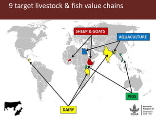 Milk, meat and fish—More than just food: Current research on food safety in sub-Saharan Africa