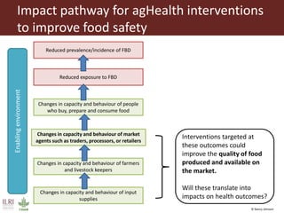 Food safety interventions: economic and health outcomes and impacts