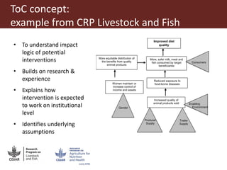 Food safety interventions: economic and health outcomes and impacts