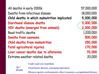 Research for agricultural approaches in farm to fork management of food safety