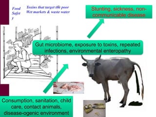 Research for agricultural approaches in farm to fork management of food safety