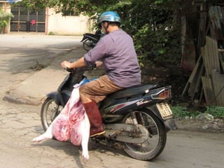 Research for agricultural approaches in farm to fork management of food safety