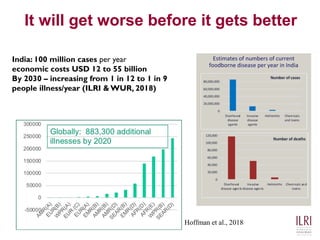 Food safety in low- and middle-income countries: What works, what doesn't and why