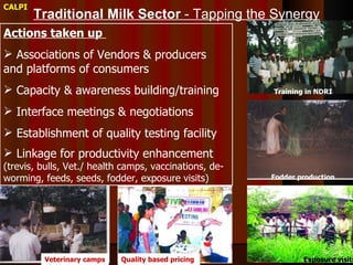 The Importance of the Informal Milk Sector in India  