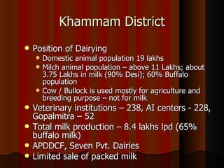 The Importance of the Informal Milk Sector in India  