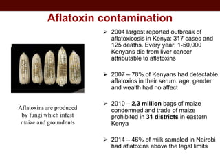 Food safety in informal markets