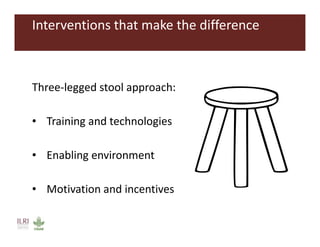 Food safety as a pathway to nutrition: The MoreMilk project
