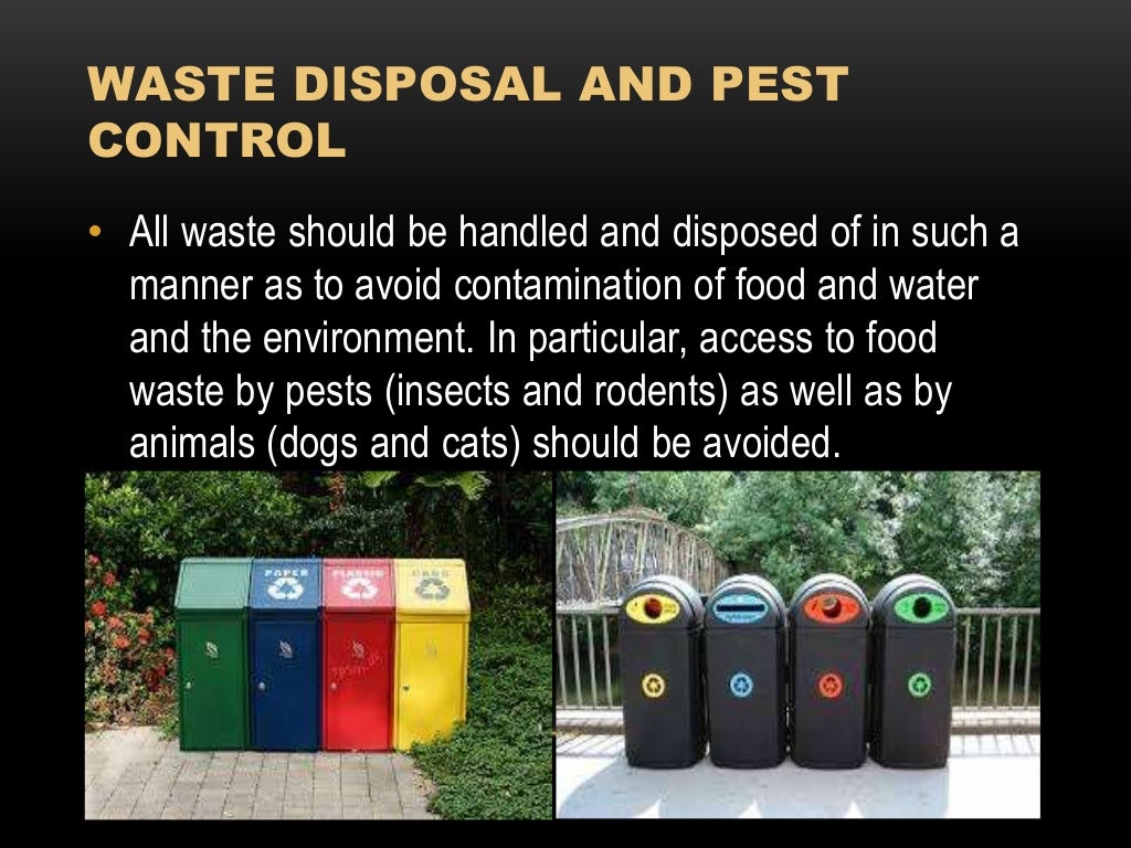 Food safety on street foods ppt