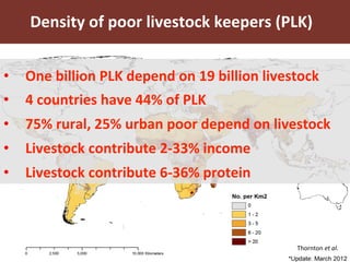 Food safety policy in 9 African countries