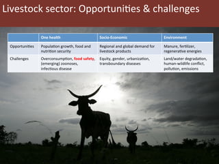 Food safety policy in 9 African countries