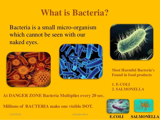How Hot To Keep Food Bacteria Free How Hot To Keep Food Bacteria Free