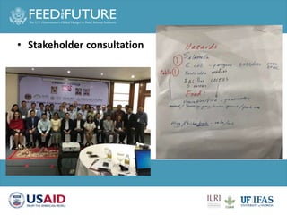 Animal health and sustainable intensification: Towards systematic and holistic prioritization of disease associated with consumption of livestock foods