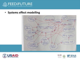 Animal health and sustainable intensification: Towards systematic and holistic prioritization of disease associated with consumption of livestock foods