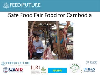 Animal health and sustainable intensification: Towards systematic and holistic prioritization of disease associated with consumption of livestock foods