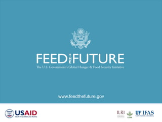 Animal health and sustainable intensification: Towards systematic and holistic prioritization of disease associated with consumption of livestock foods