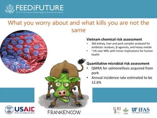 Animal health and sustainable intensification: Towards systematic and holistic prioritization of disease associated with consumption of livestock foods