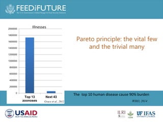 Animal health and sustainable intensification: Towards systematic and holistic prioritization of disease associated with consumption of livestock foods