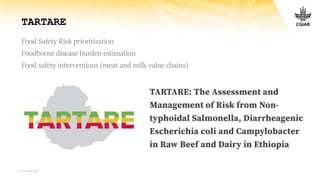ILRI's research on food safety in Ethiopia: An overview